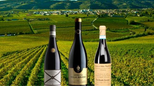 https://www.vinovest.co/blog/valpolicella-wine