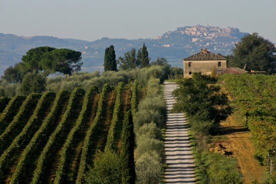 http://www.turismo.intoscana.it/allthingstuscany/tuscanycious/wine-tours-in-tuscany/