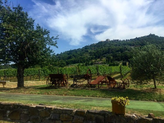 https://www.tripadvisor.co.uk/LocationPhotoDirectLink-g187902-d6237730-i201092307-Tuscan_Food_Wine_Tours_from_Siena_by_Grape_Tours-Siena_Tuscany.html