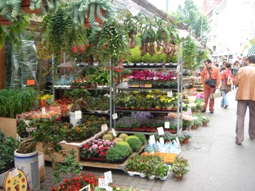 https://www.iamsterdam.com/en/see-and-do/shopping/amsterdam-markets/flower-market