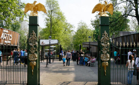 Artis Royal Zoo  https://www.artis.nl/nl/language/visitors-information/