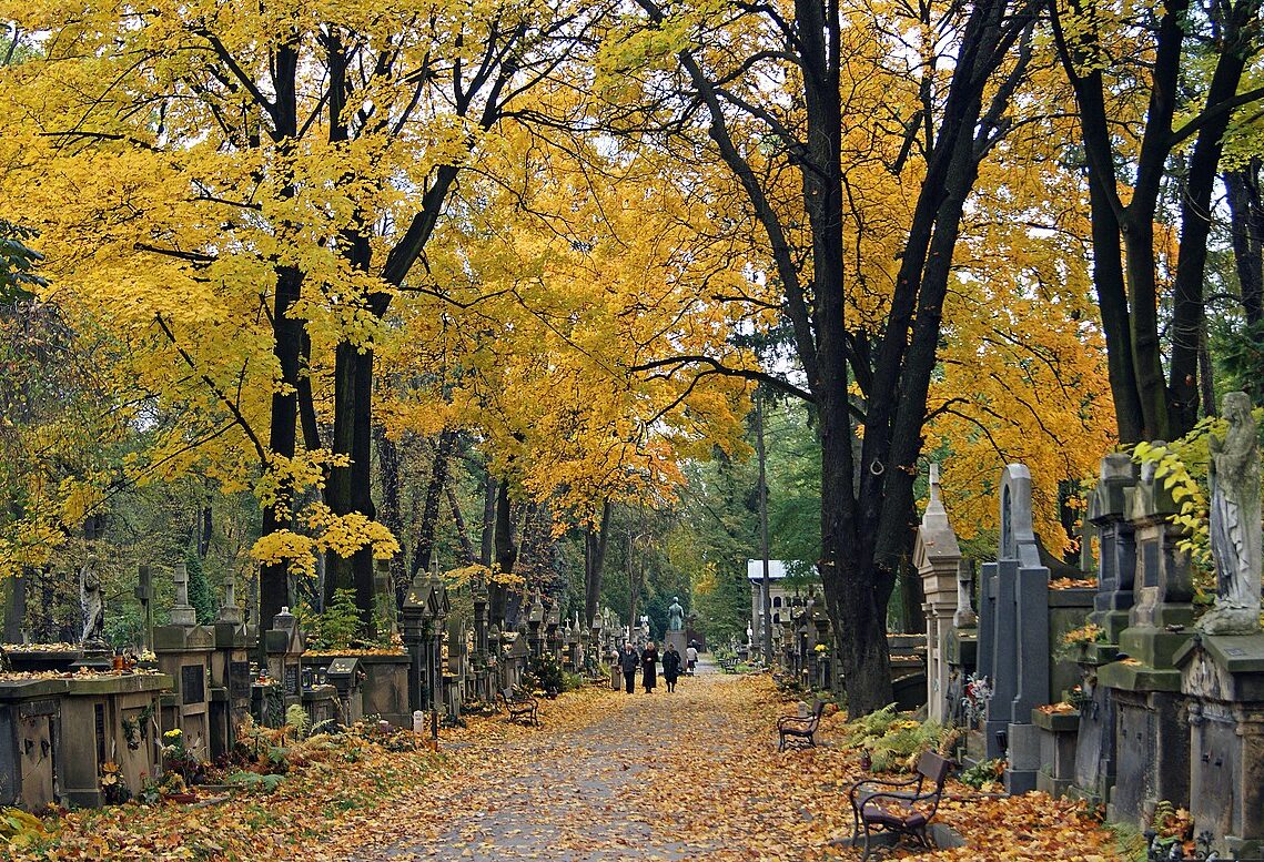 https://commons.wikimedia.org/wiki/Category:Rakowicki_Cemetery#/media/File:Rakowicki_Cemetery,_main_alley,Krakow,Poland.jpg
