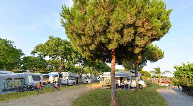 Camping Barcelona (Camping Site)