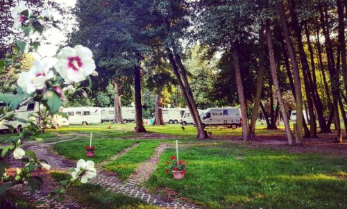Camping Clepardia (Camping Site)