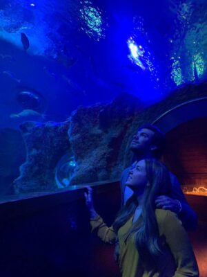 Visit the Acuario de Sevilla