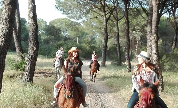 Go Horse-Riding in Parque Natural Doñana https://www.rutasdonana.com/
