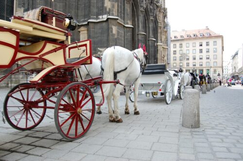https://pixabay.com/de/photos/taxi-warenkorb-pferde-vienna-427928/