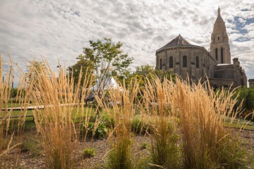 Explore the beautiful parks of Bordeaux http://jardin-botanique-bordeaux.fr/