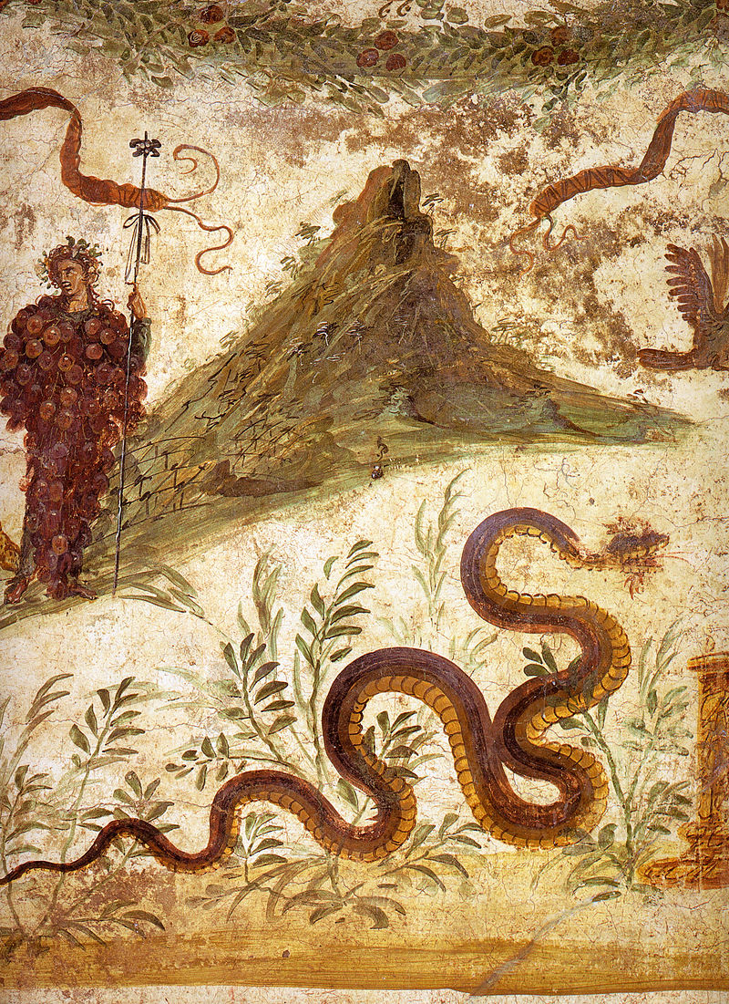 https://en.wikipedia.org/wiki/Mount_Vesuvius#/media/File:Pompeii_-_Casa_del_Centenario_-_MAN.jpg