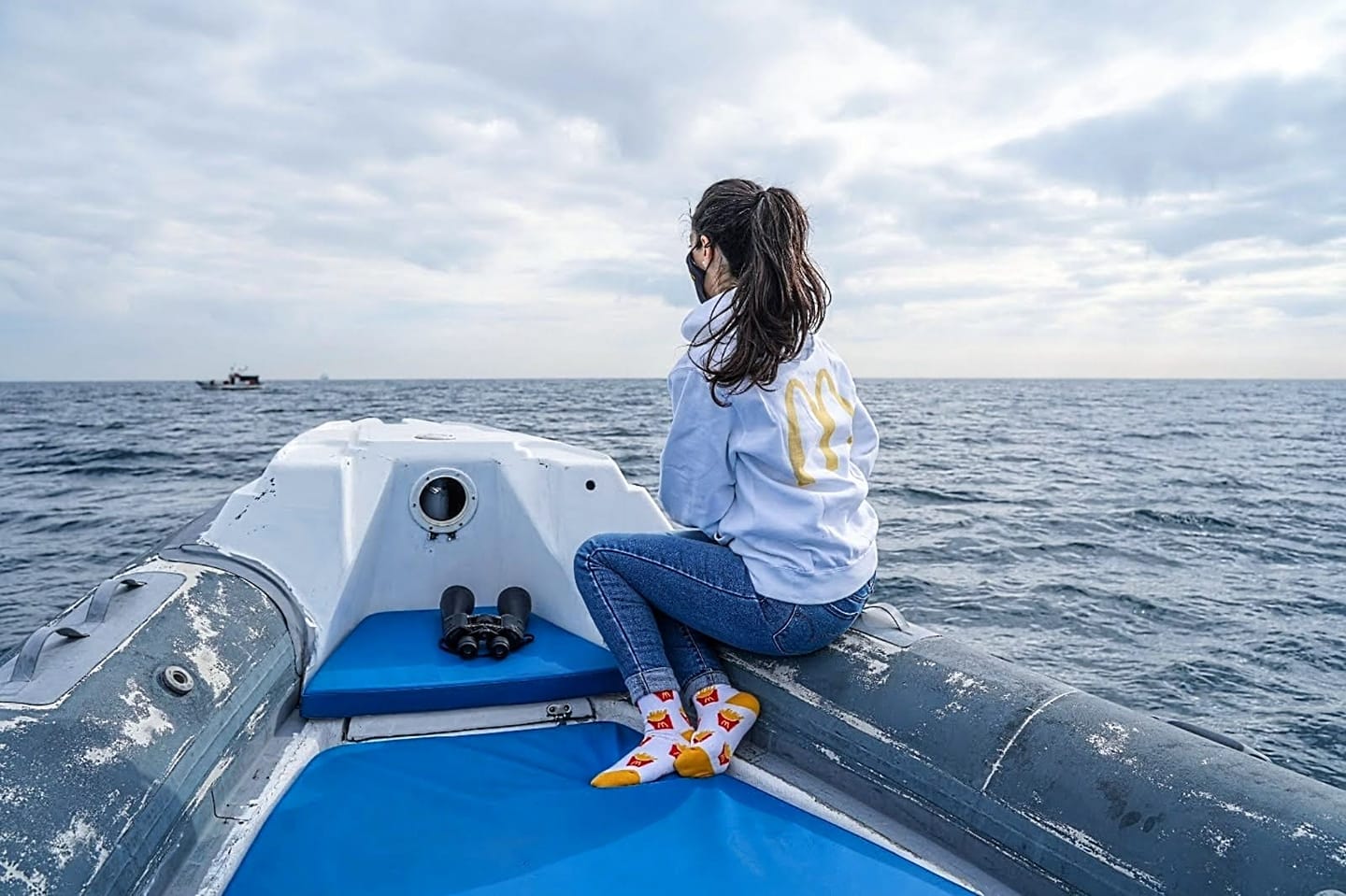 Search for dolphins in the Gulf of Catania