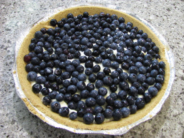 https://commons.wikimedia.org/wiki/Category:Blueberry_pies#/media/File:Blueberry_pie,_July_2009.jpg