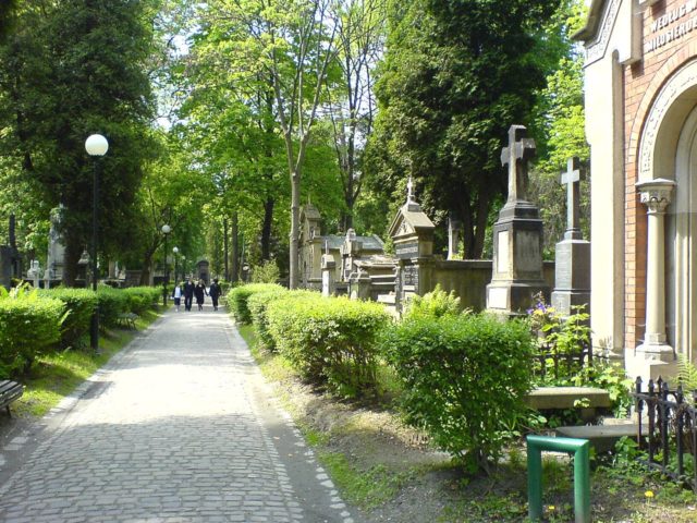 https://en.wikipedia.org/wiki/Rakowicki_Cemetery