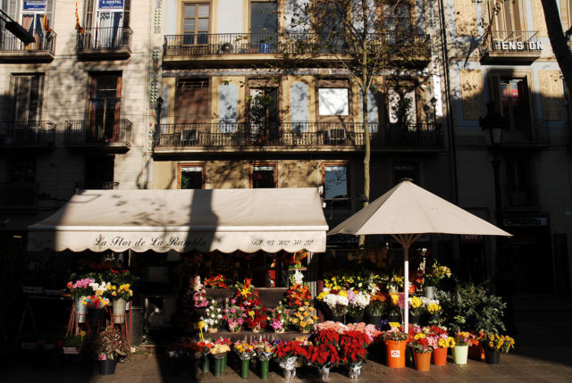 https://commons.wikimedia.org/wiki/Category:Flower_shops_in_La_Rambla#/media/File:A_flower_shop_in_one_of_Barcelona's_streets_(Carrer_La_Rambla)._Catalonia,_Spain.jpg