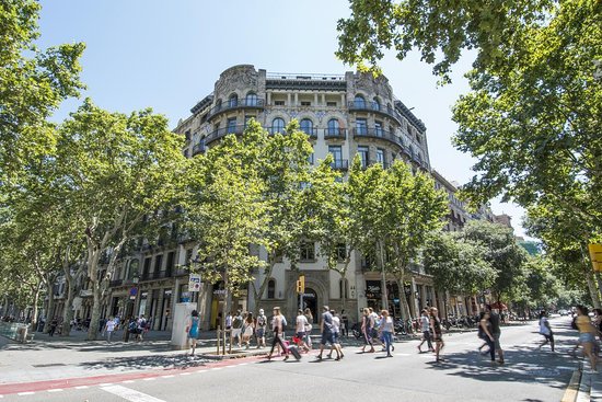 https://www.tripadvisor.com.gr/Hotel_Review-g187497-d629068-Reviews-Safestay_Barcelona_Passeig_De_Gracia-Barcelona_Catalonia.html
